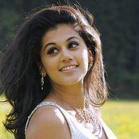 Tapsee Pannu Latest Stills | Picture 115834